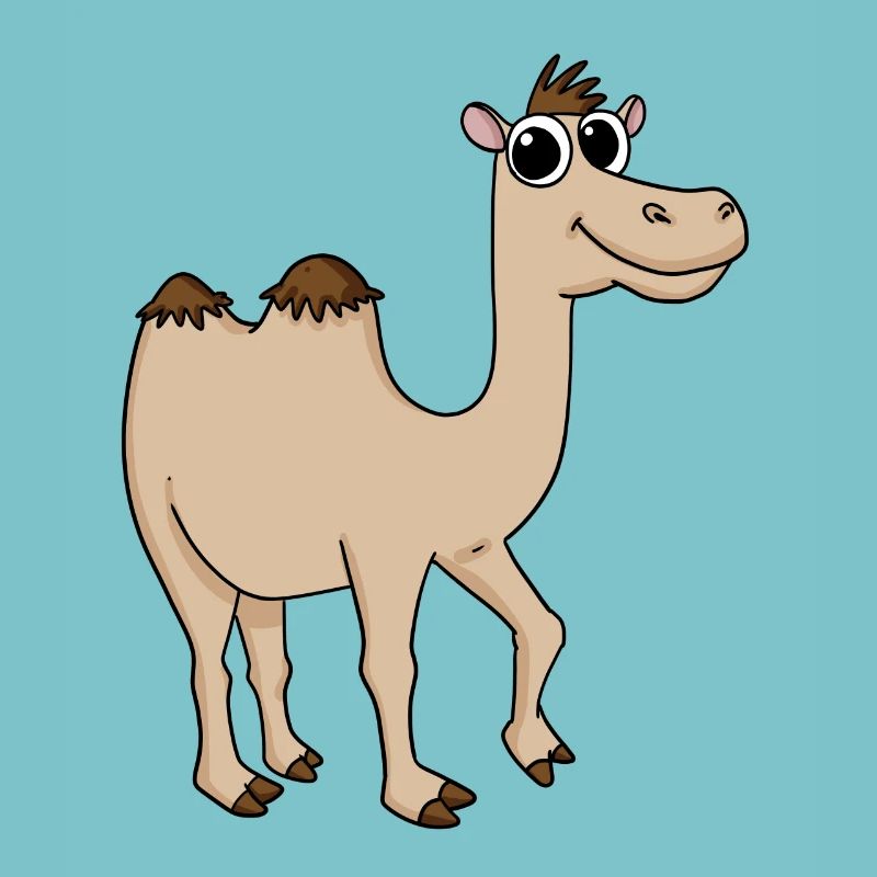 Cute camel