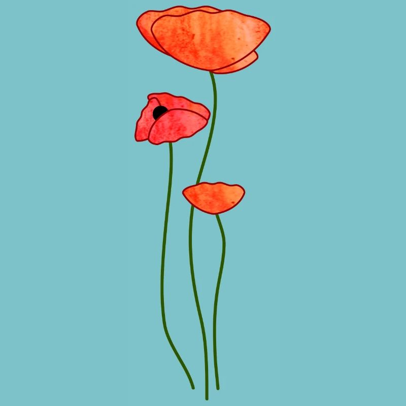 Trois fleurs de pavot