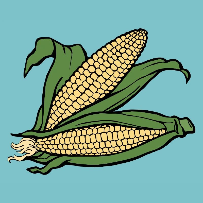 corn corn maize cereal veggie vegetables vegetables