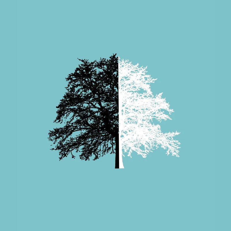 Tree Tree Black White Illusion