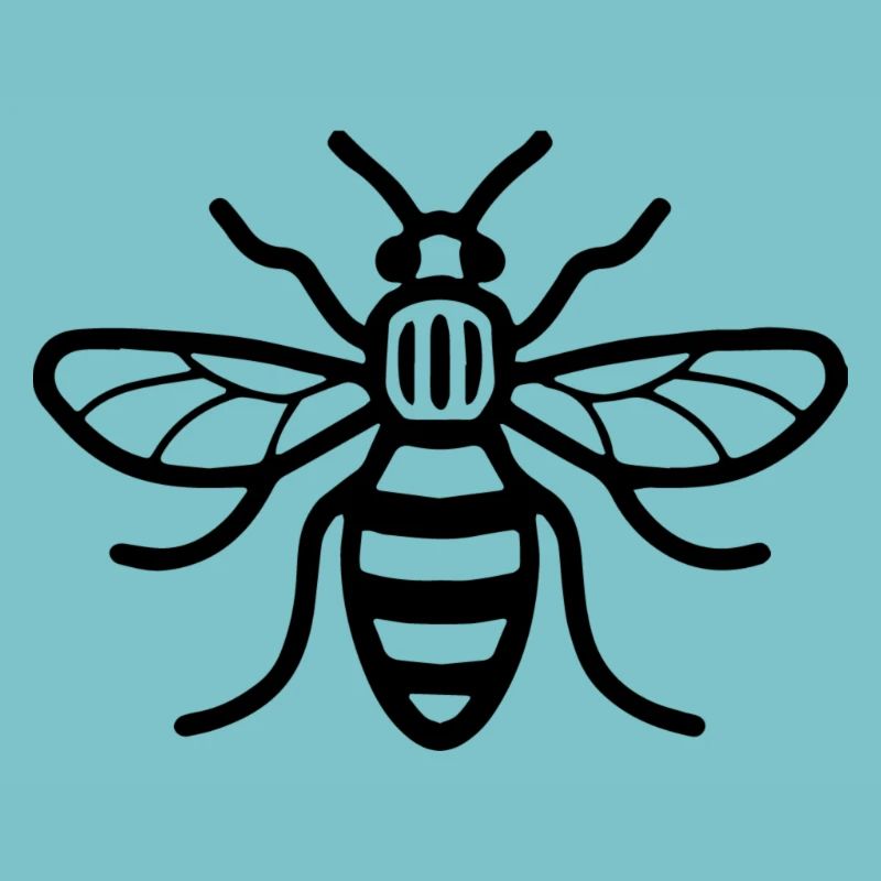 Manchester Bee