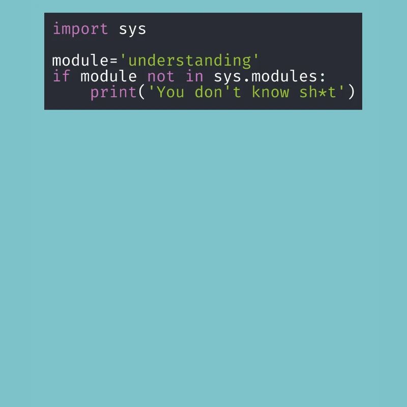 Programmierer, Software, Informatik, Developer
