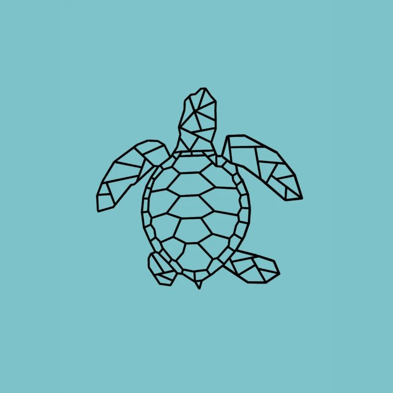 Turtle gift idea