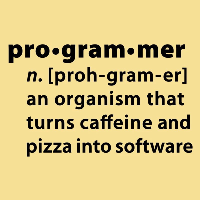 Programmdefinition - die Definition Programmer
