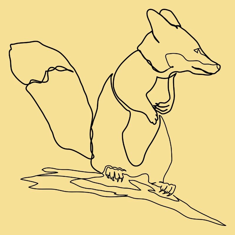 Fuchs Eichhörnchen Squirrel Fox
