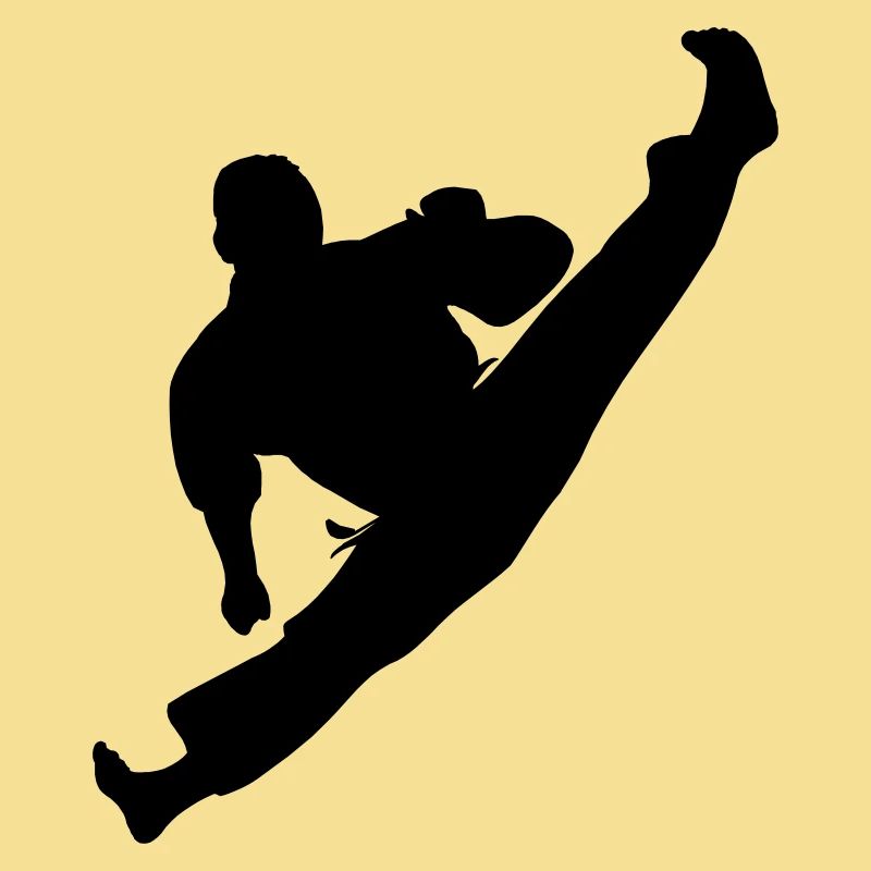 Jumpkick Geri Kick Karate oder Teakwondo