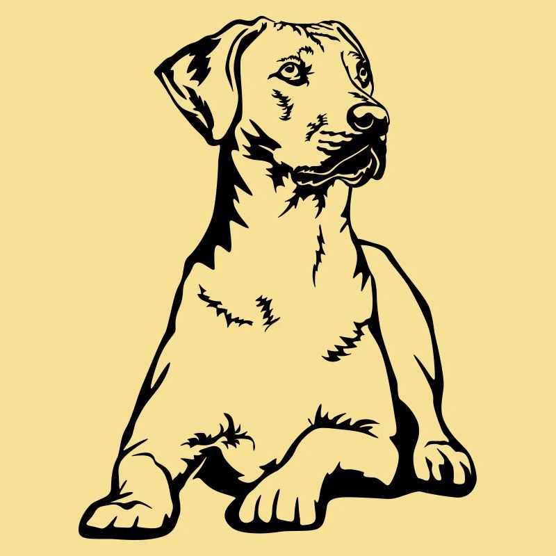 Rhodesian Ridgeback