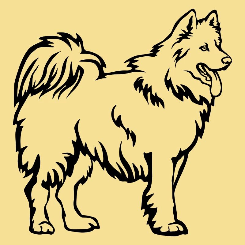 Samojede