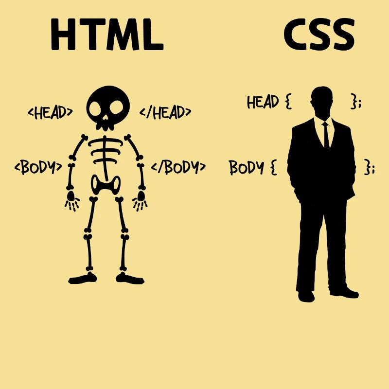 Développeur Programmeur Coden Code de script CSS