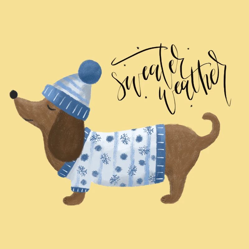 Teckel avec pull et chapeau Pull Météo bleu