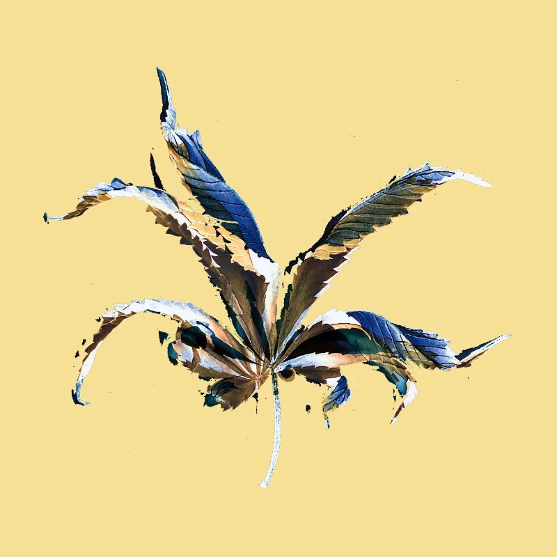 Leaf layers