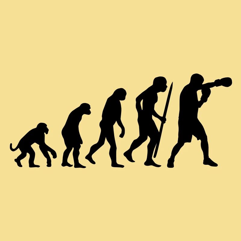 Evolution de la boxe