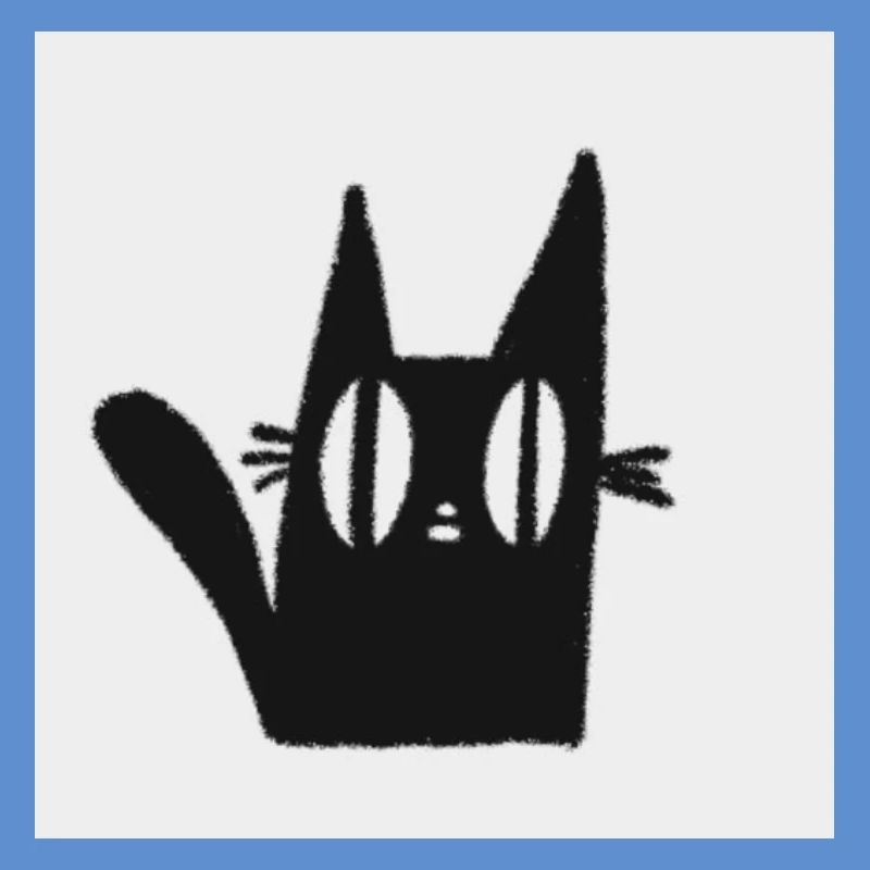 Mimi le chat noir