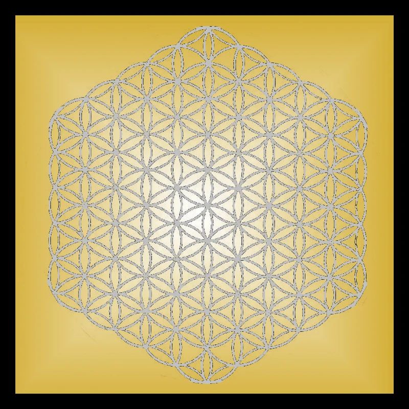 Blume des Lebens silber - 5. Dimension