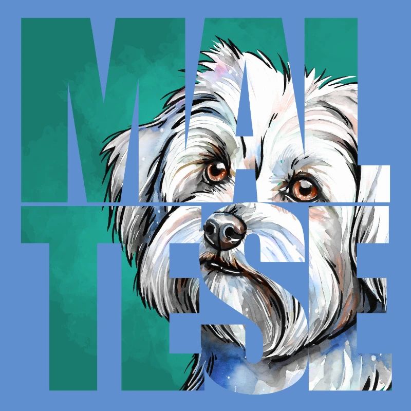 Portrait de bichon maltais