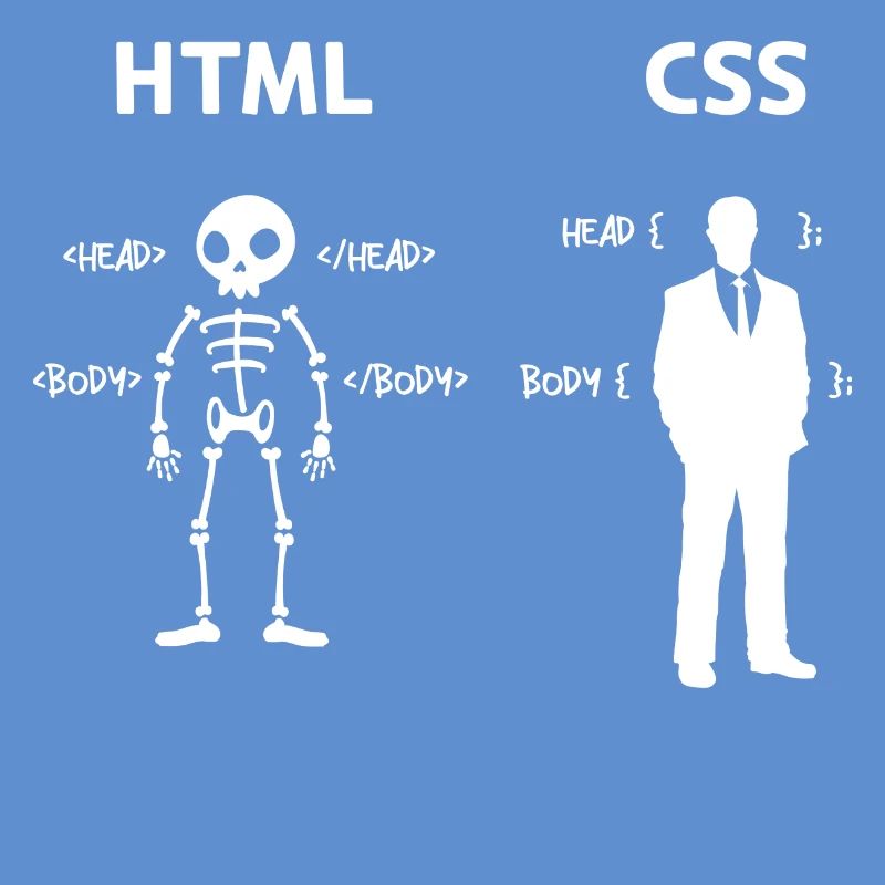 Code Css C++ Php Java Développeur Code Scripting