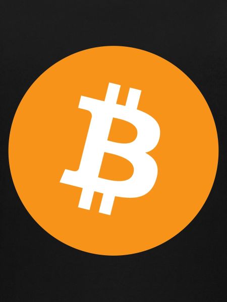 Bitcoin Logo