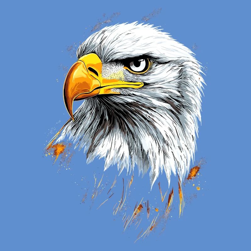 Aigle Pygargue à tête blanche Aigle royal Pygargue à queue blanche