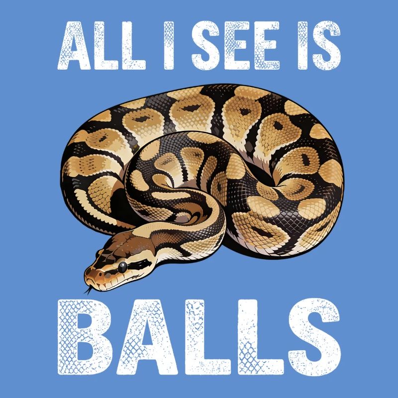 Python roi Serpents Amateurs de terrarium Python