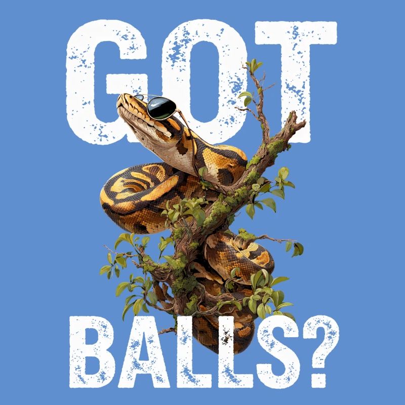 Python roi Serpents Amateurs de terrarium Python