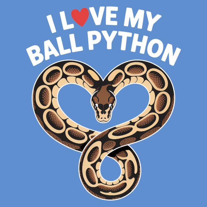 J’adore mon python royal ! Roi python