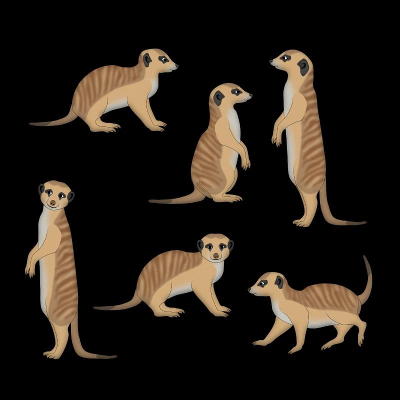 Sélection de Suricate