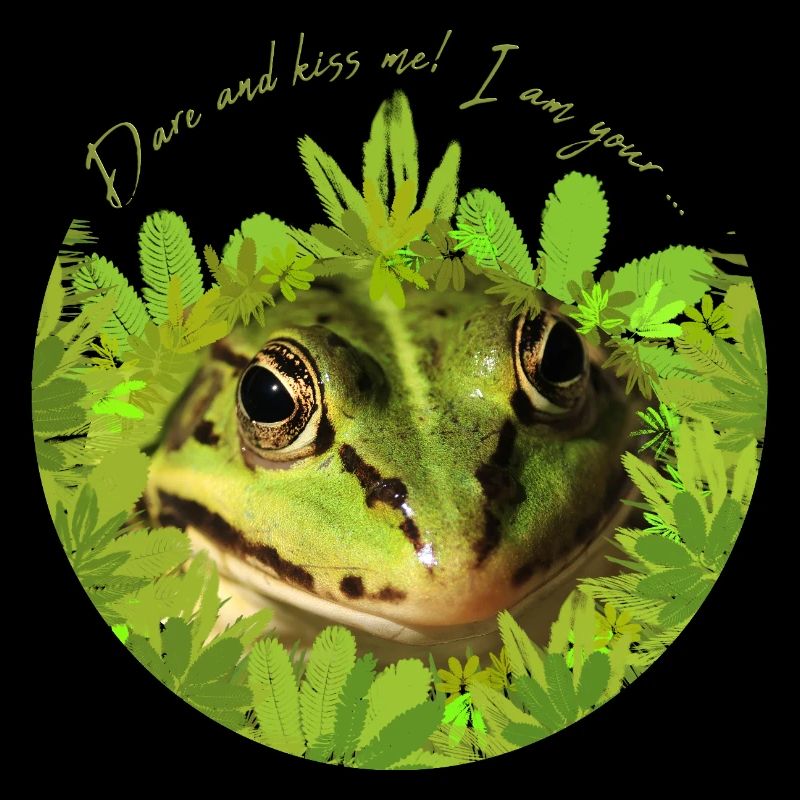 Frosch küss mich Prinz