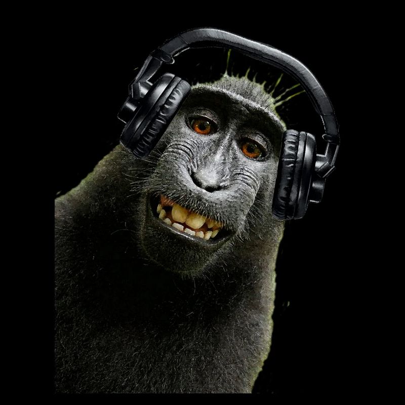 Tshirt musique de singe by customstyle