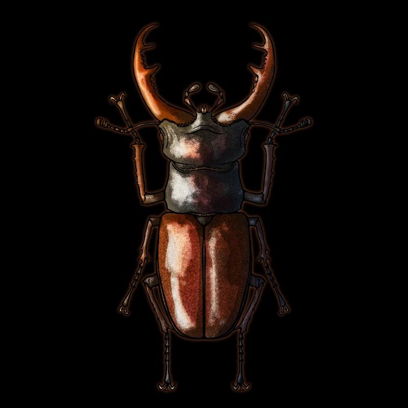Hirschkäfer