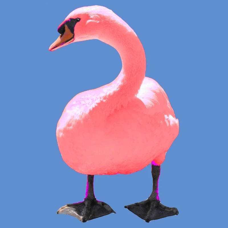 Schwan