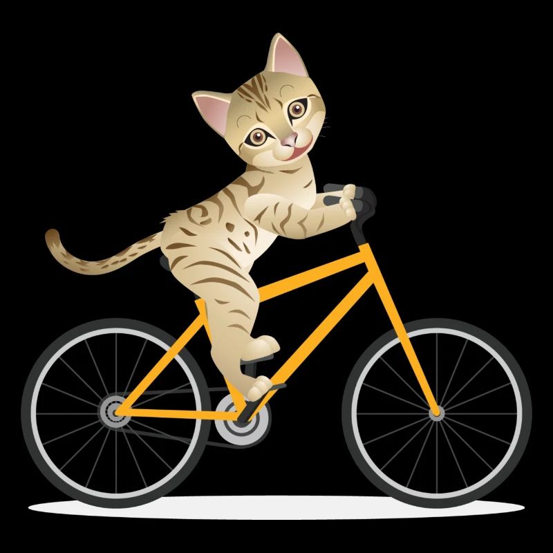 Fahrrad Katze