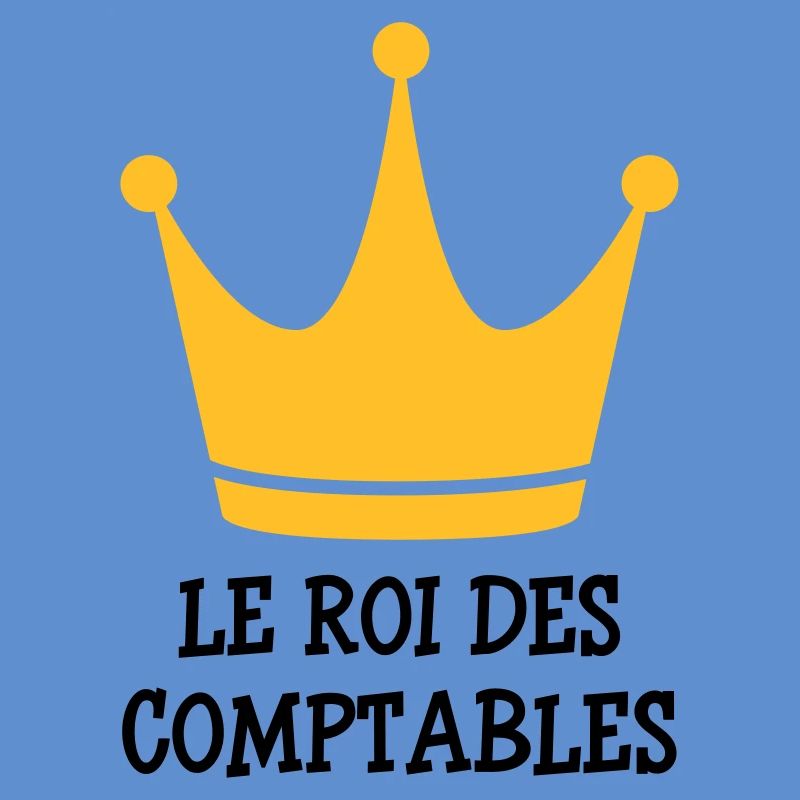comptable / comptabilité / argent / Finance / Euro