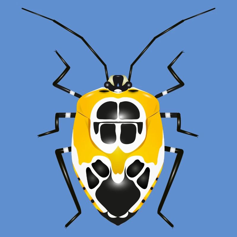 Runibia decorata Insecte rampant effrayant jaune noir