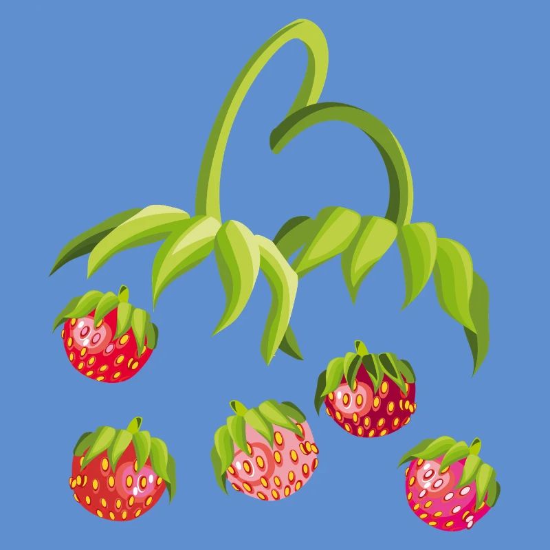 Strawberry Time Strawberry