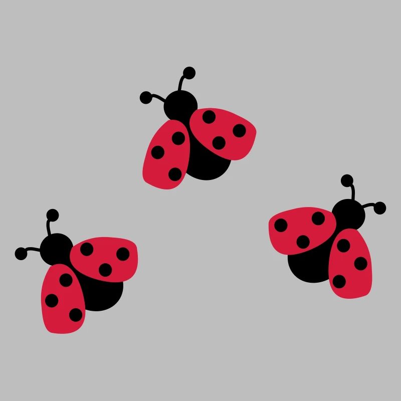 Coccinelle