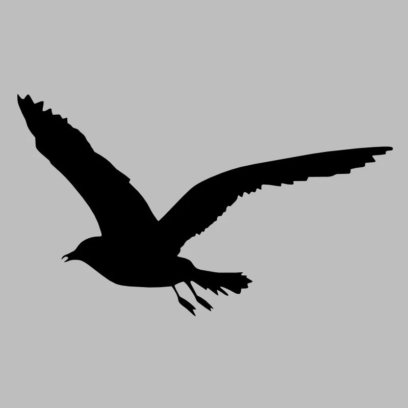 seagull