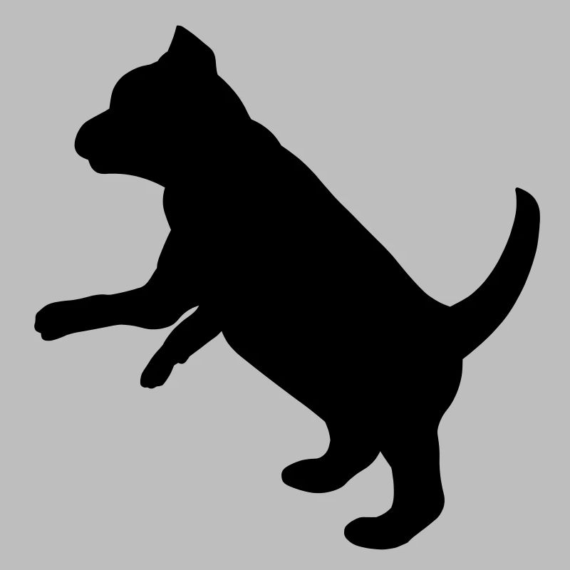 Ludique chiot