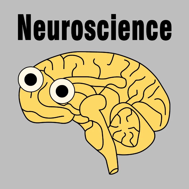 Neuroscience Brain