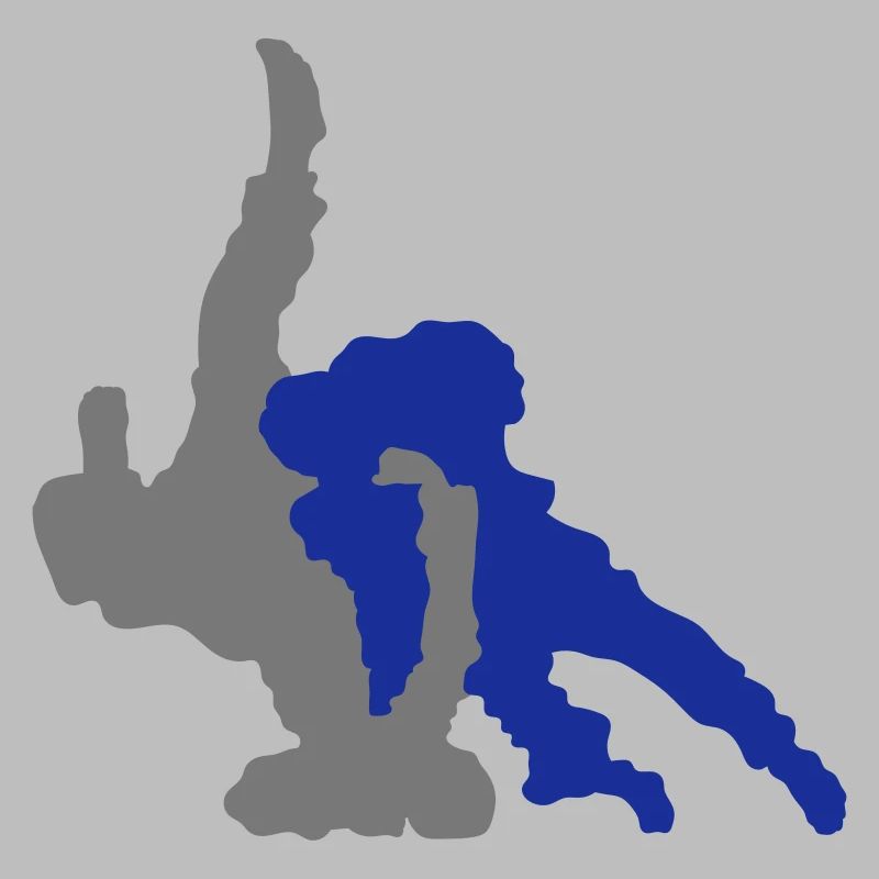 judo