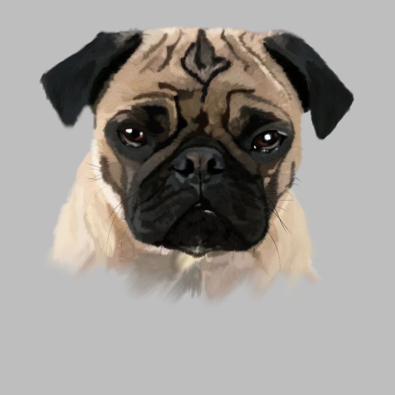 Mops