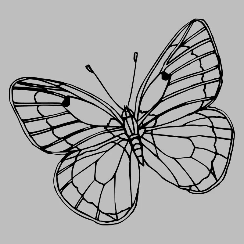 Papillon