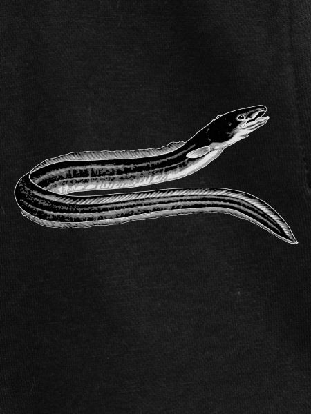 eel