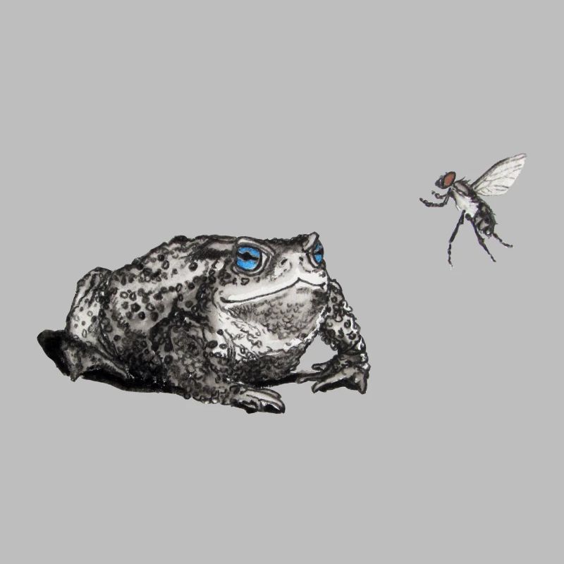 Crapaud et voler