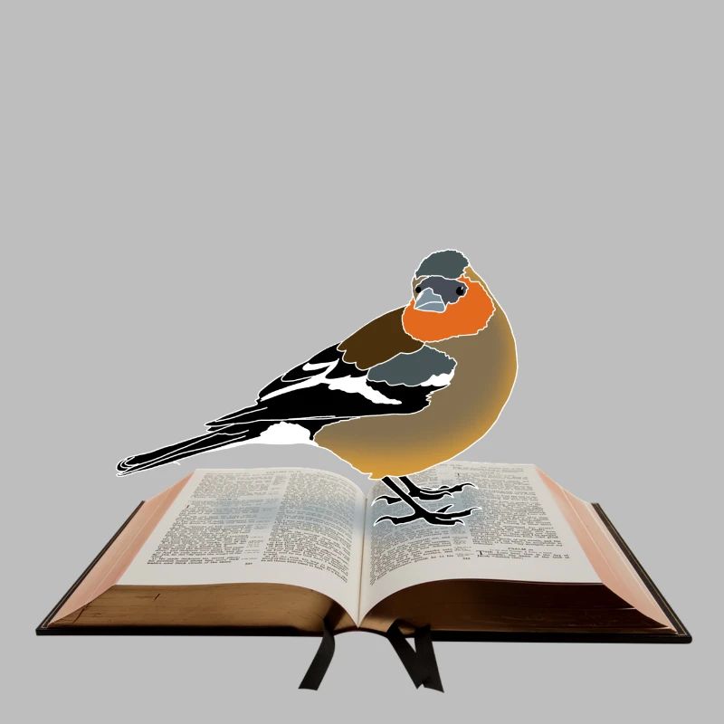 Chaffinch on book