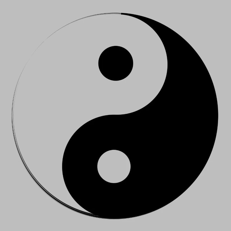 Ying and Yang style with broken circle
