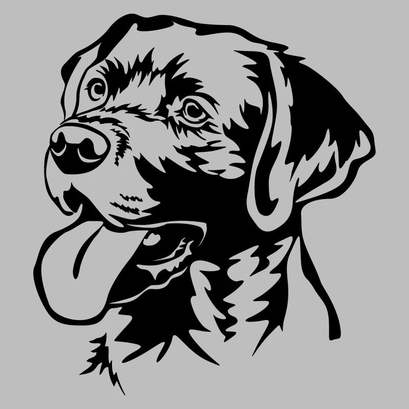 Labrador Retriever Kopf