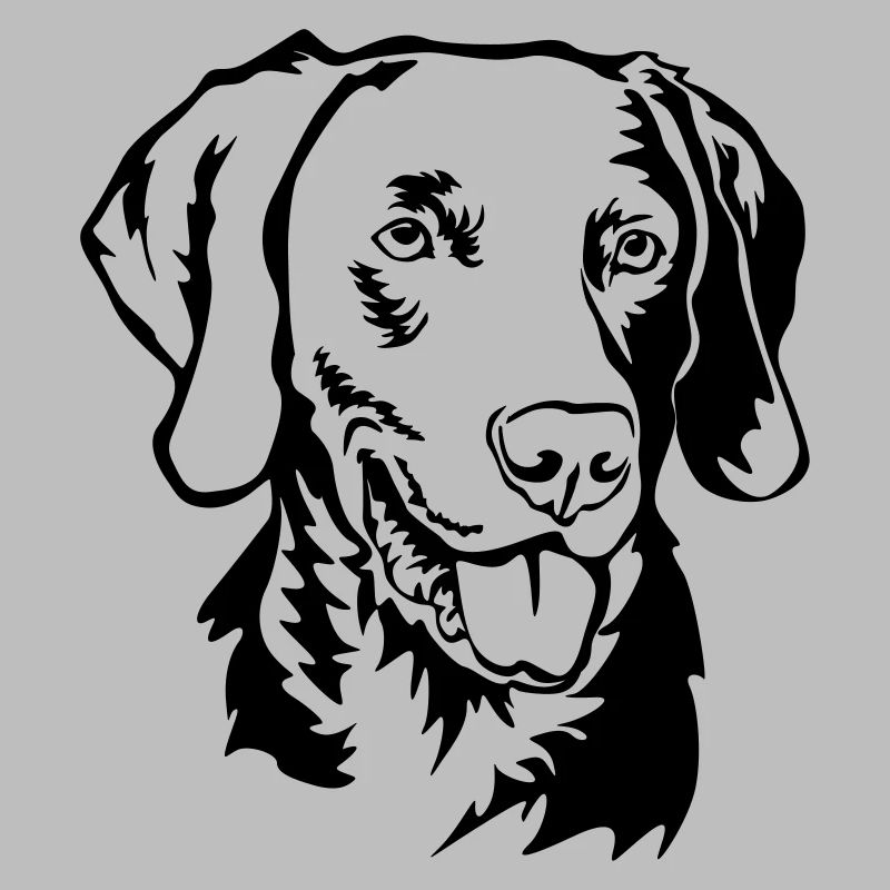 Tête de Weimaraner