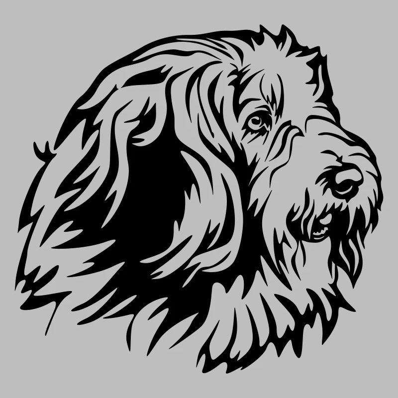 Bearded Collie Head
