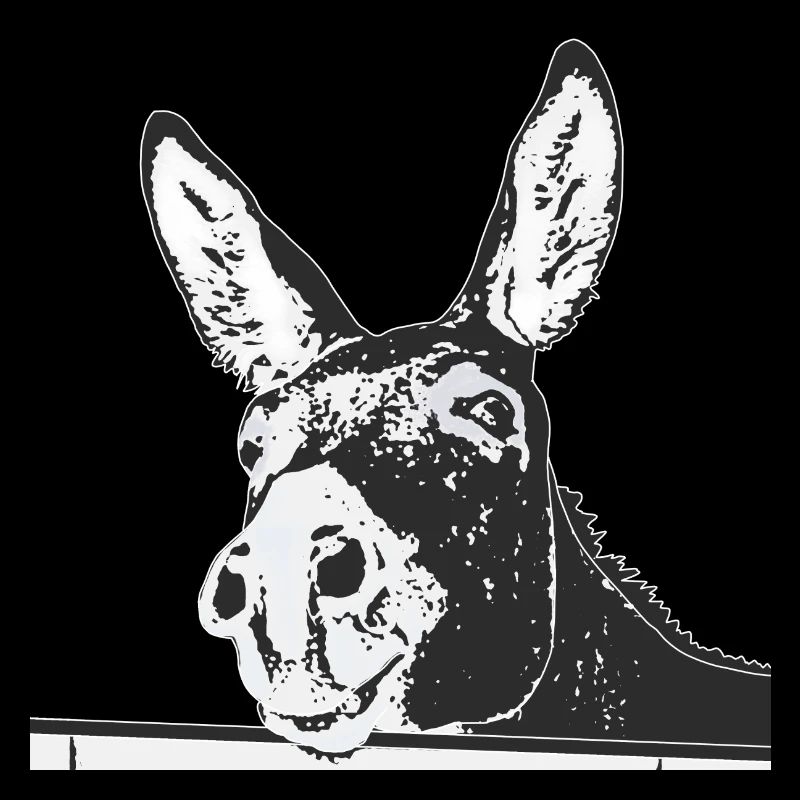 donkey