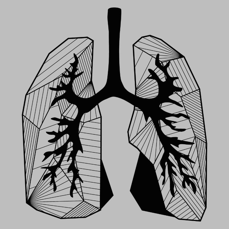 Lungs
